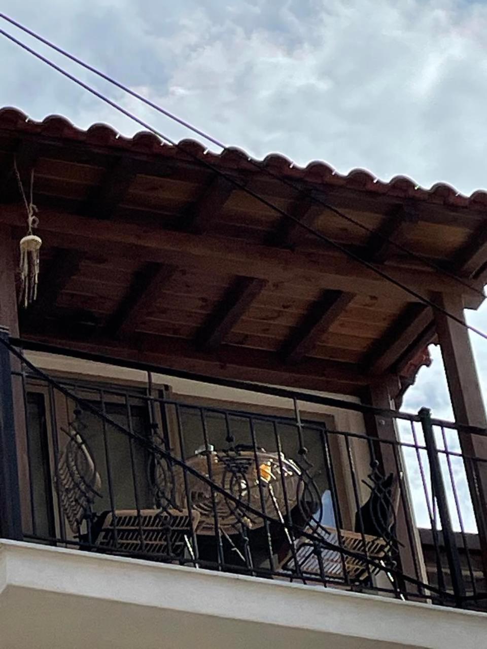 Eumorphia Studios & Apartments Skiathos stad Exteriör bild